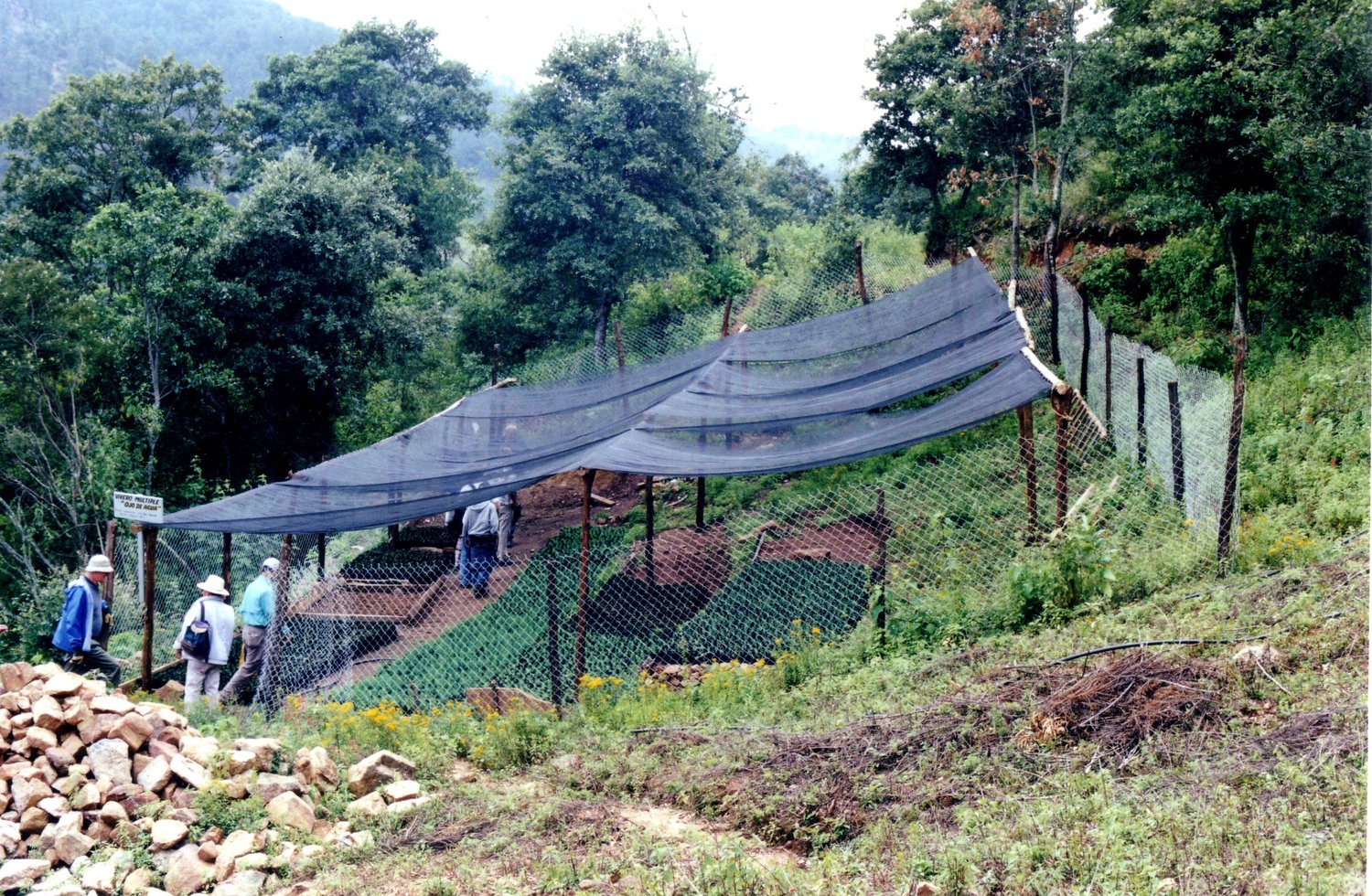 Community Tree Nursery in Ojo de Agua, Oaxaca.JPG