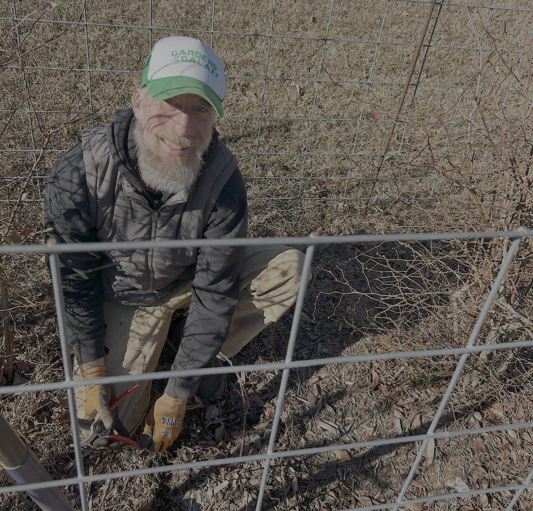 Help Needed on Blueberry Workday!