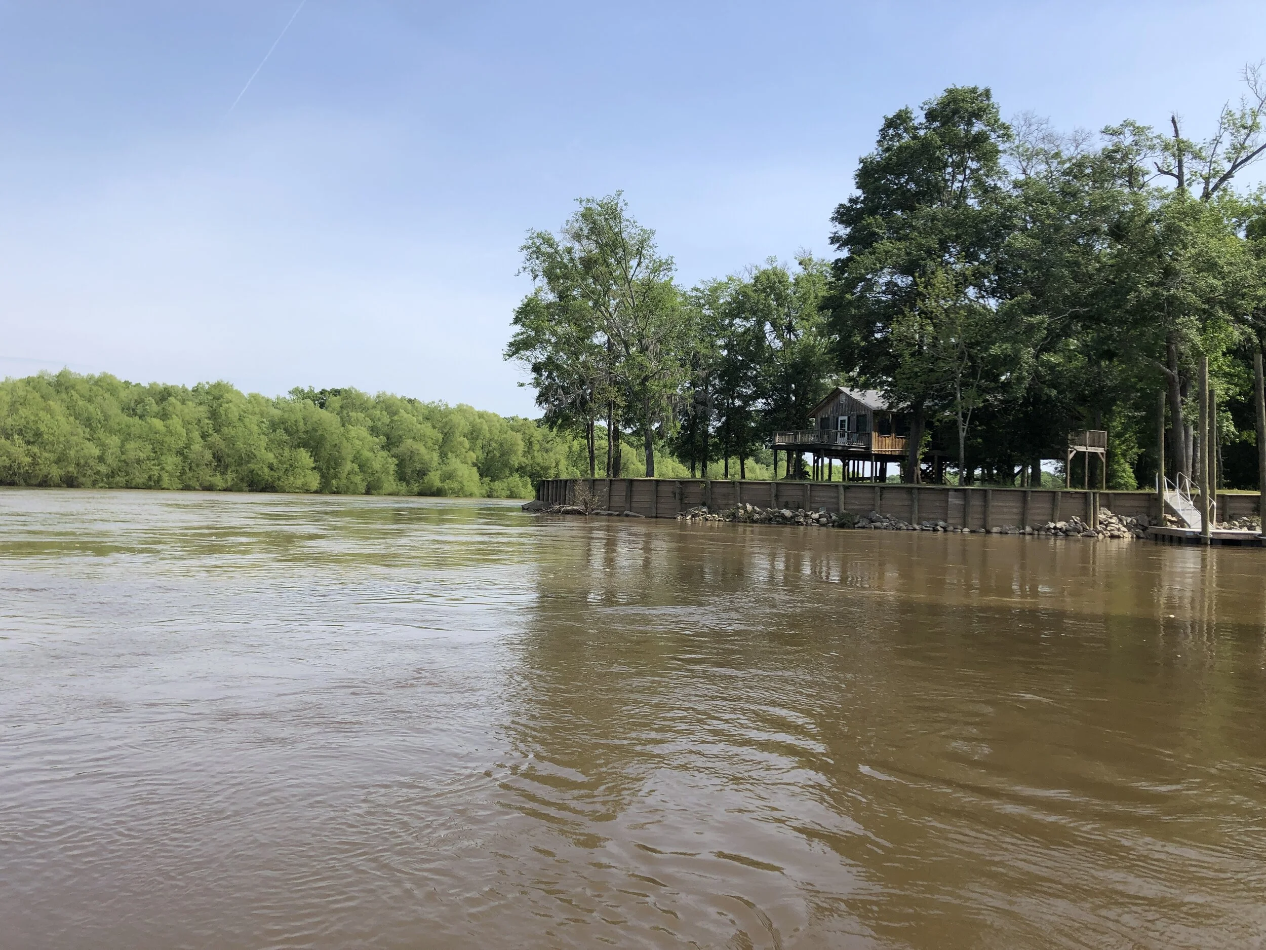 These fortunate people have a beautiful place right at the confluence. They are in the corner where the Oconee and Altamaha meet, and the Ocmulgee is coming in (not in picture) directly across from them.