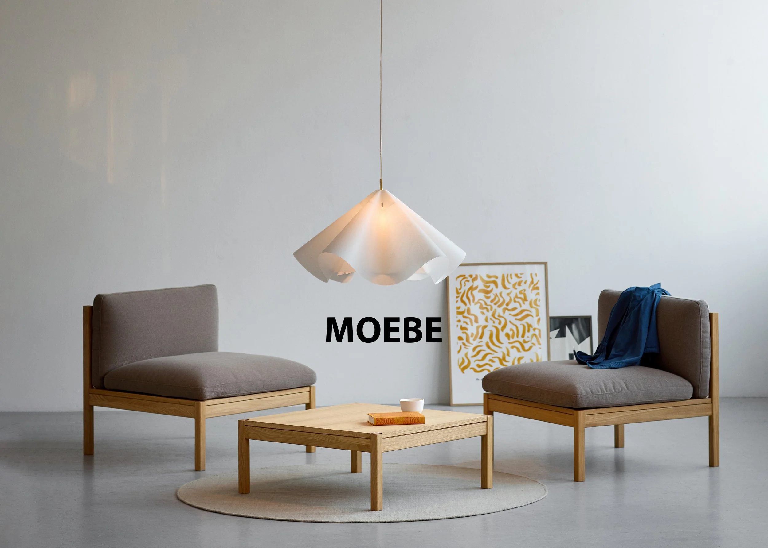 MOEBE_Sinuate-Pendant-Lamp_IC_Large_Brass_High-Res_03_SIPENLWHBR (1).jpg