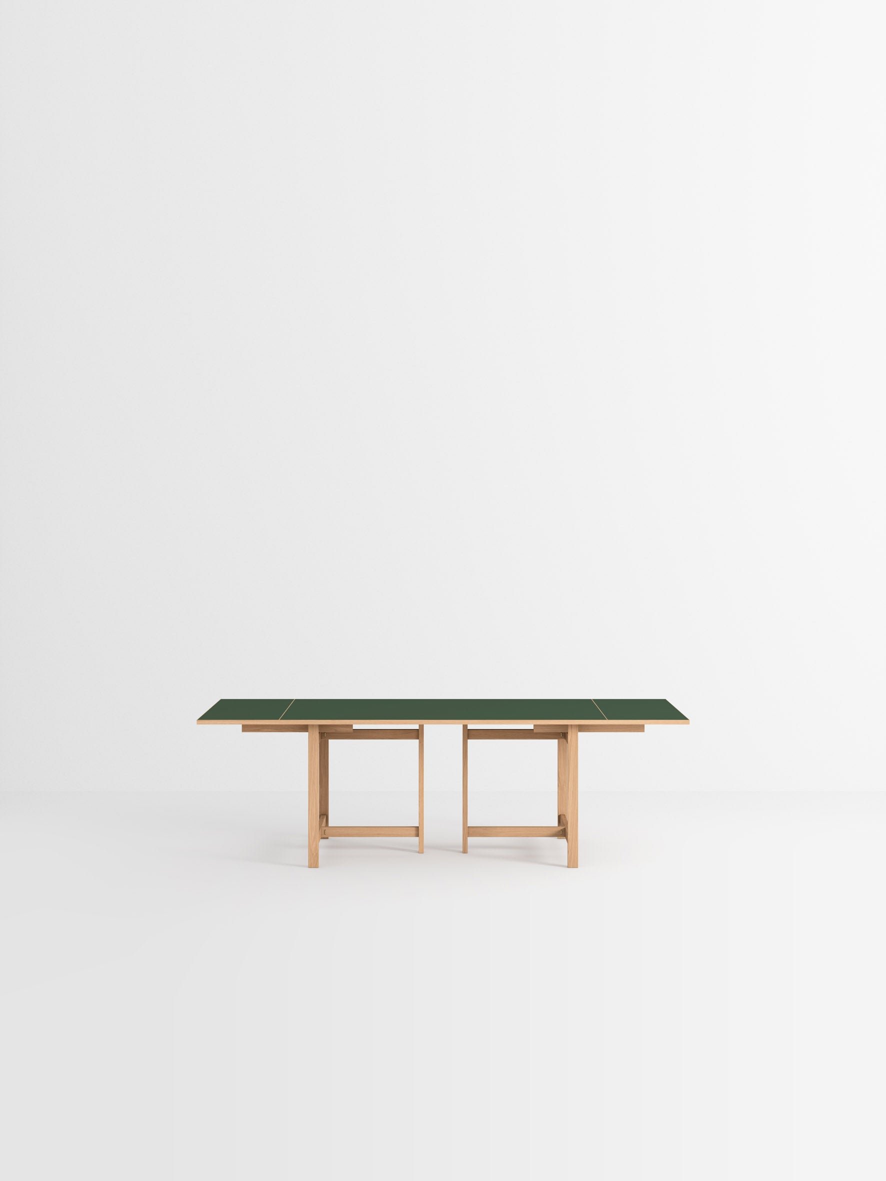 MOEBE_Dining-Table_PP_160-Rectangular_Oak-Forest-Green_x2-Extension_Low-Res_01.jpg