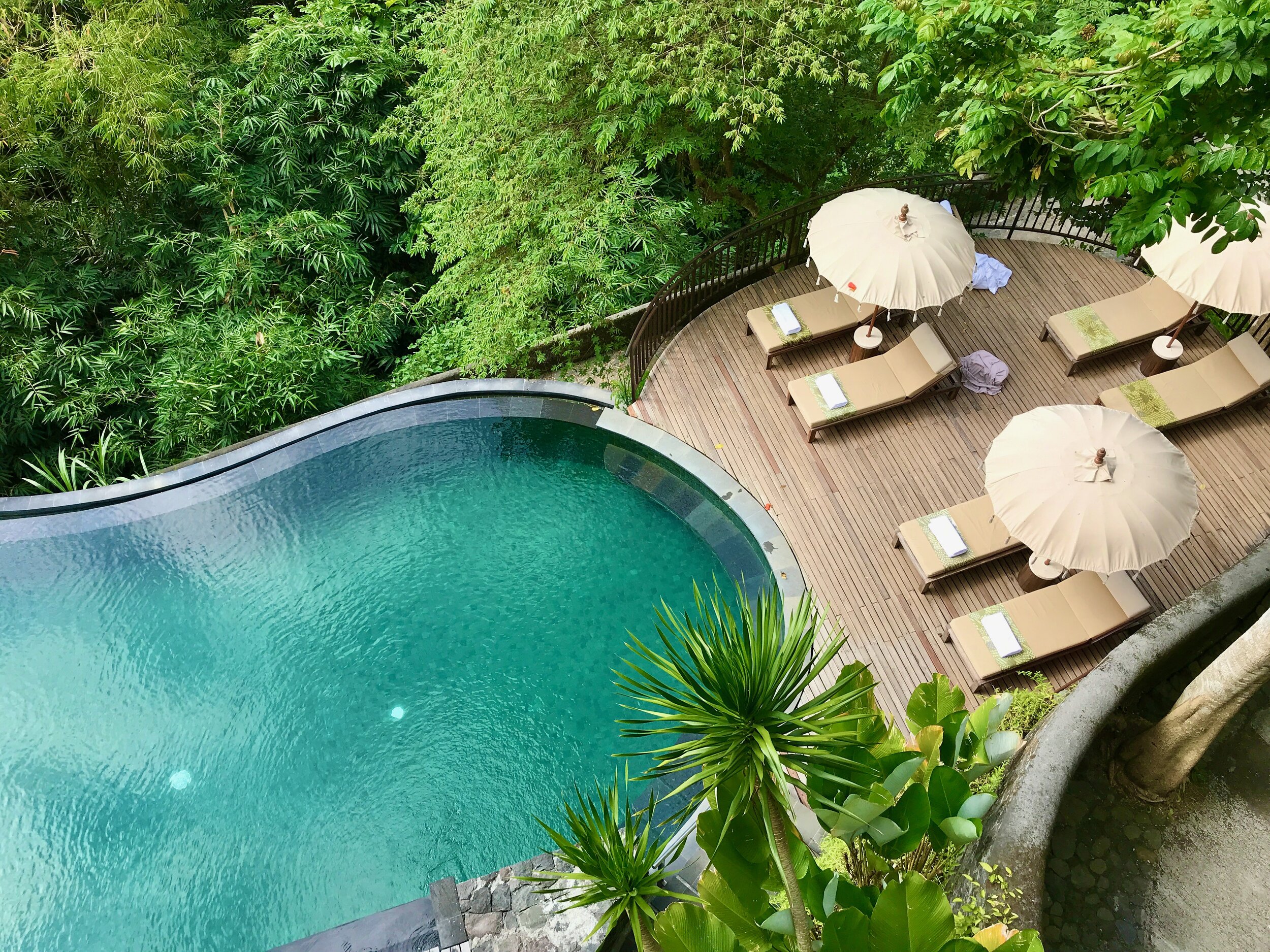 KOMANEKA AT TANGGAYUDA - UBUD