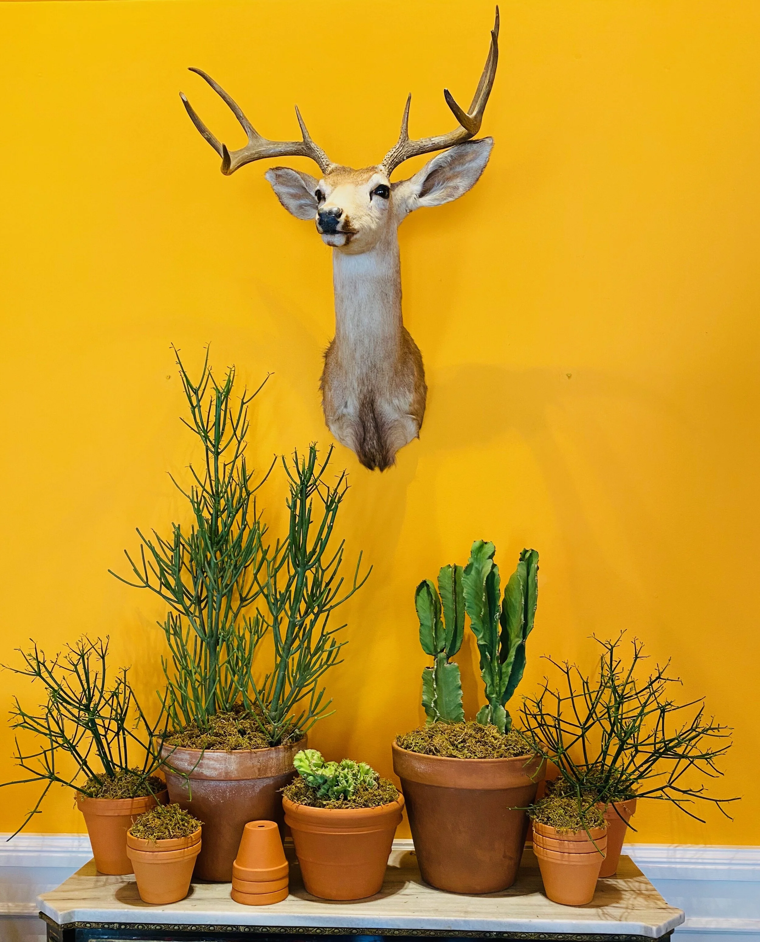 ALL OVER SOUTH AFRICA