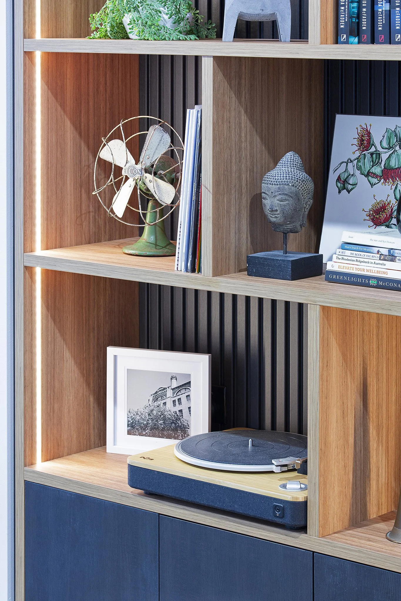 MattMichelDesign_Living_Bookcase_EastLindfield_0837.jpg