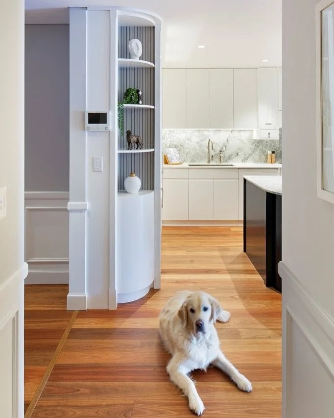 #Cameo by the resident Dog who eventually warmed to me. A home has to be comfortable to all family members&hellip;

#Secretdoor Anyone who knows me well knows I dont show my face that often on insta, I try to let the work do all the talking. 
One of 