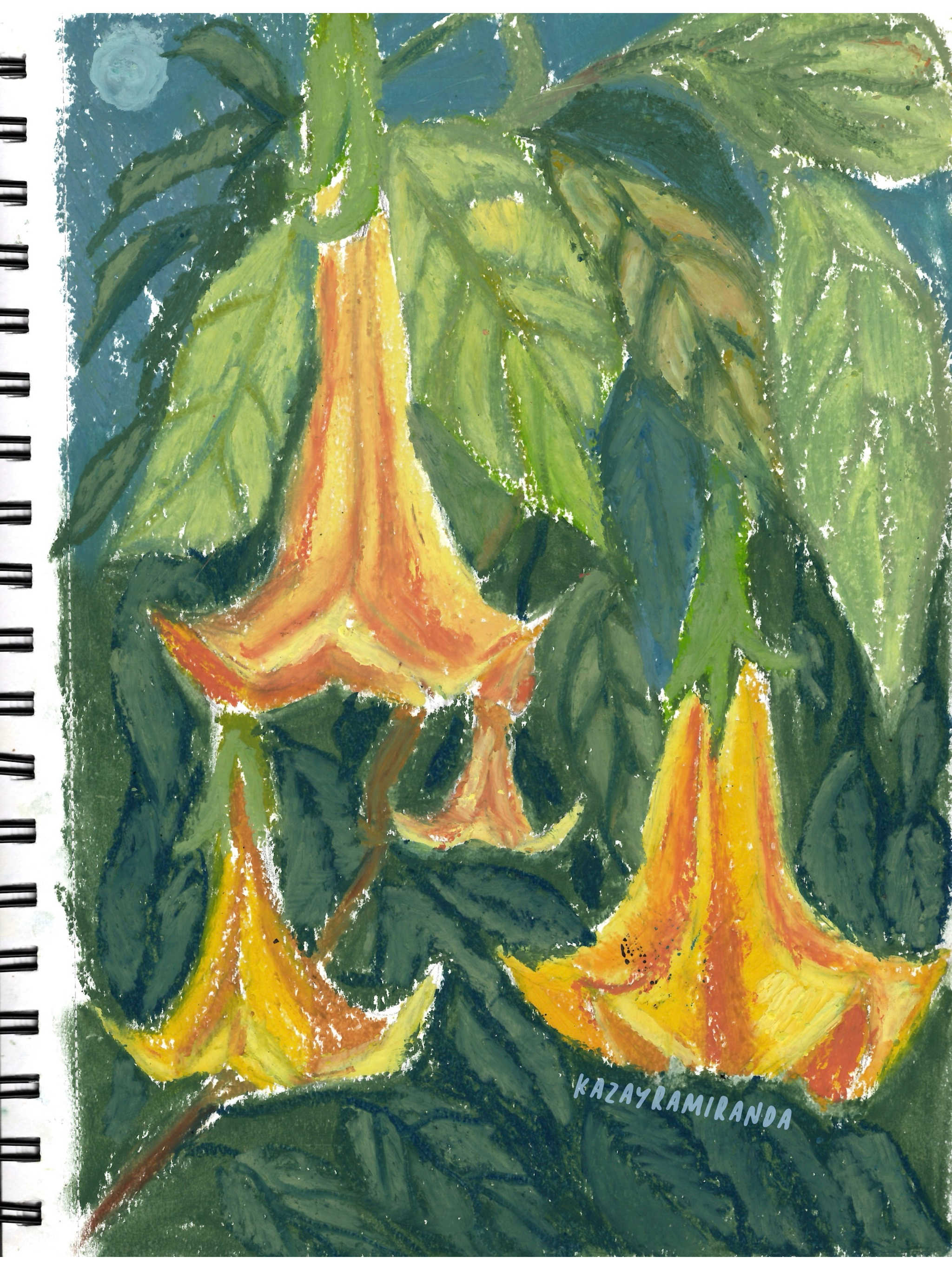 IMG_3128.png