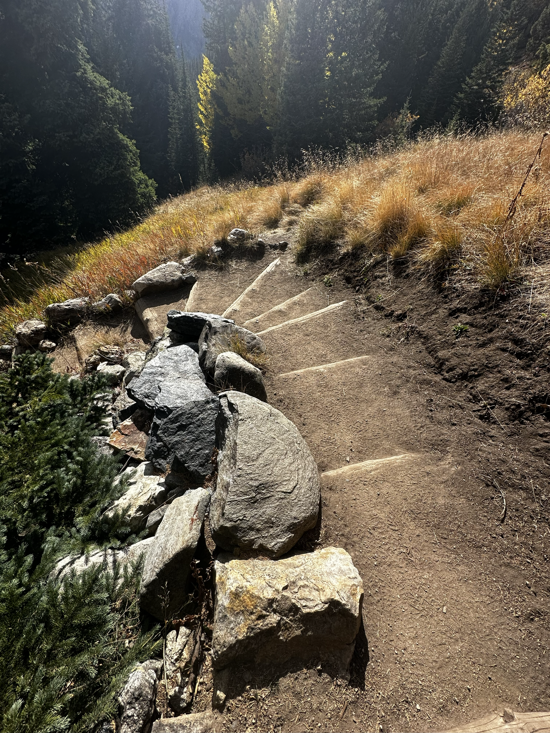 My Journey &amp; What it Gave Me