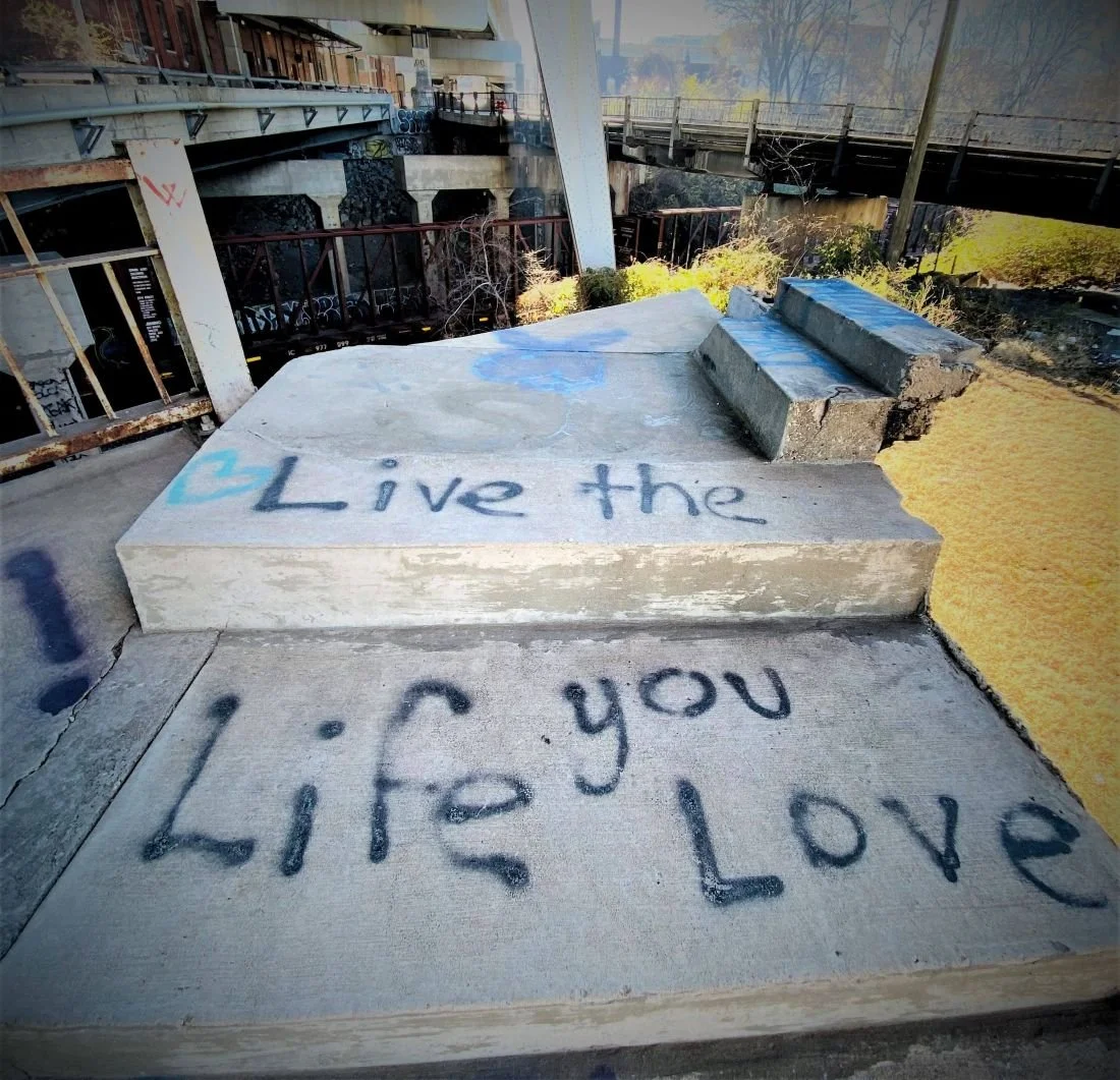 My Journey &amp; What it Gave Me