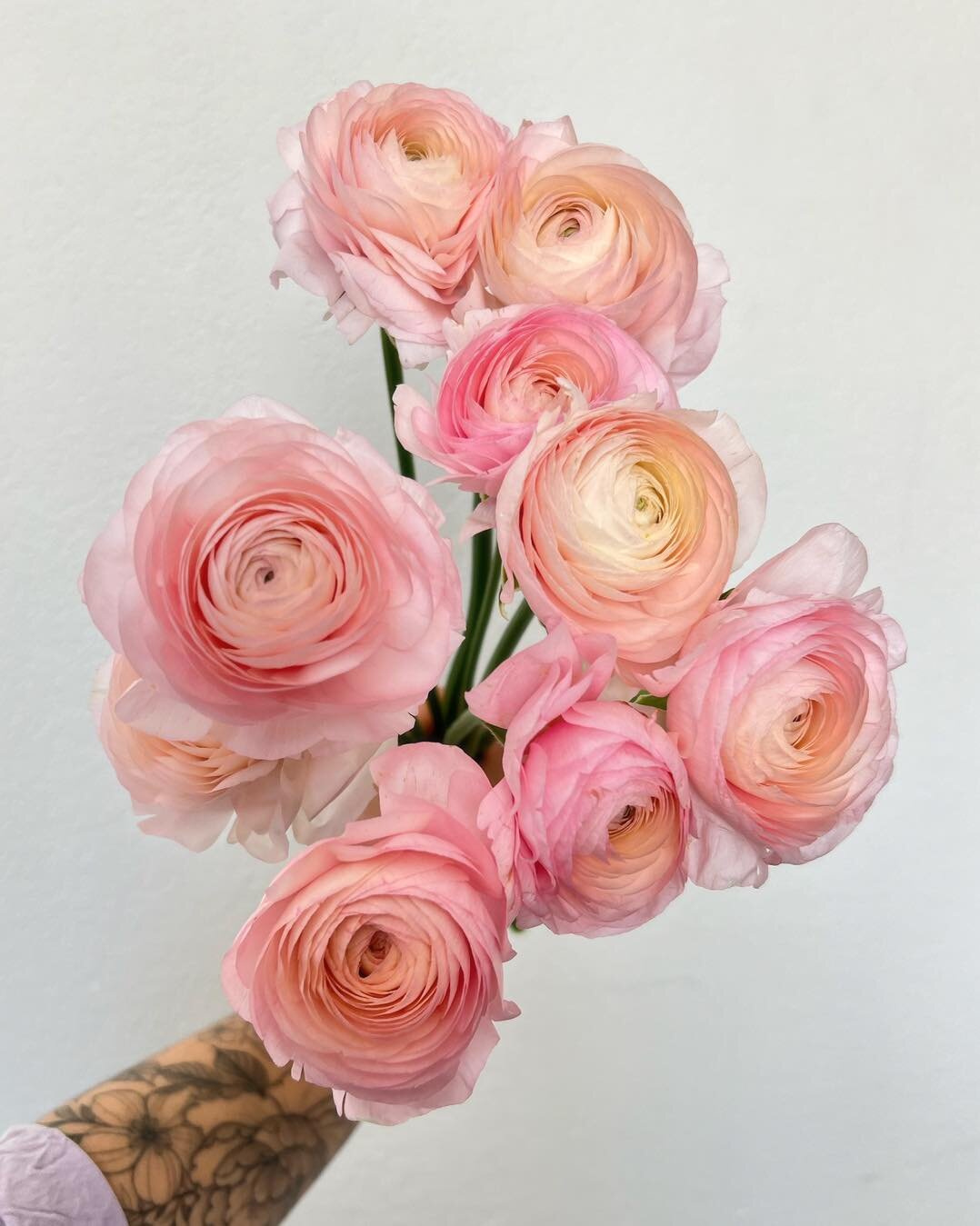 Happy Saturday! Lucy Blooms is currently creating flower magic for today&rsquo;s event ✨🌸 I hope these pastel, candy-colored ranunculus make your day brighter!
.
.
.
.
.
 #instabloom #flowersofinstagram 
 #lucyblooms  #ihavethisthingwithflowers #bou