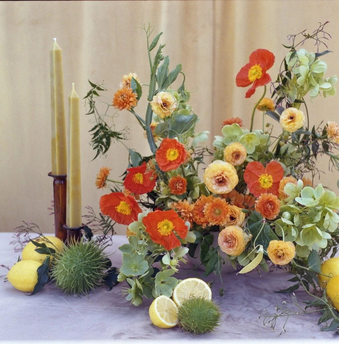 Finally sharing developed film from my experience at Flowers in Focus // a floral arrangement styled alongside fresh fruit and taper candle decor using various backdrops and table linens. Shot on medium format film.

This was the first outing I used 