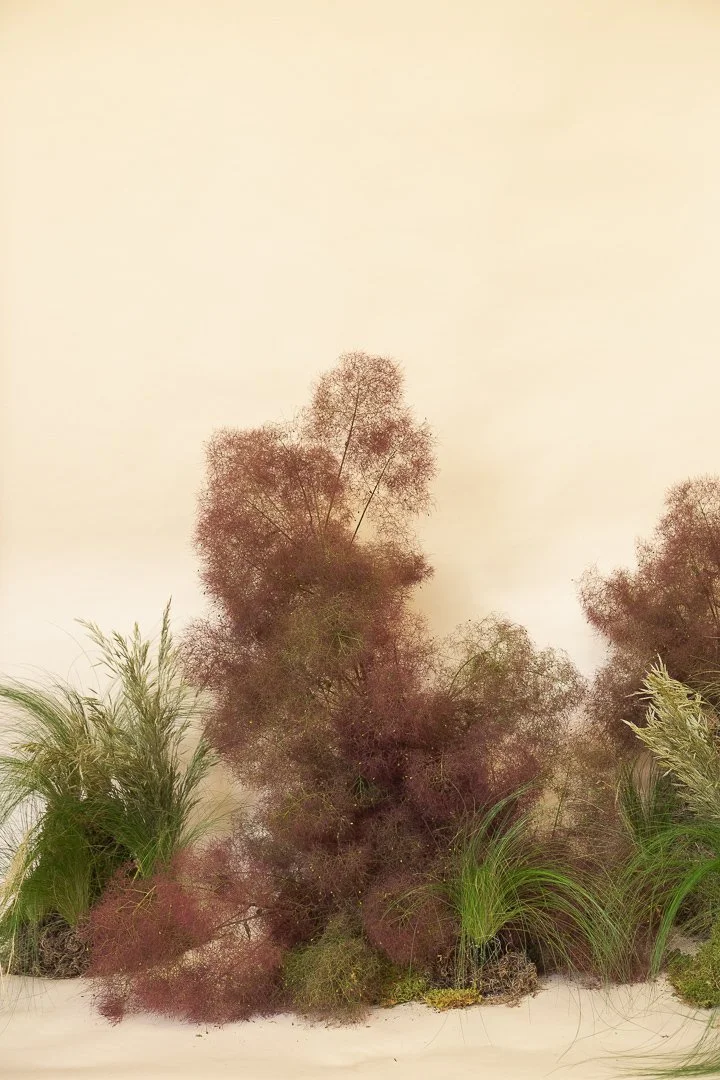 CLM_9849.jpg