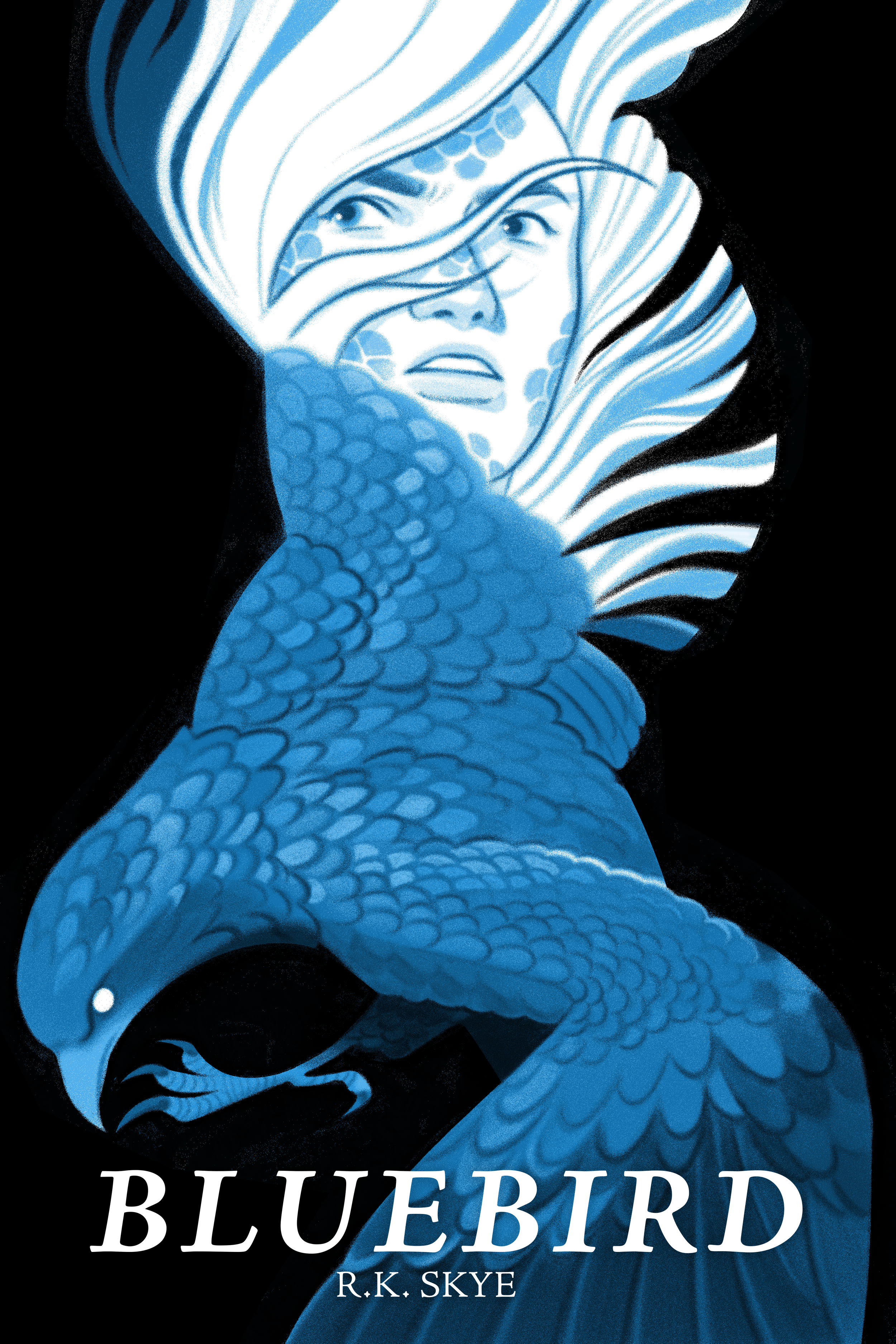 PORTFOLIO-BLUEBIRD-2.png