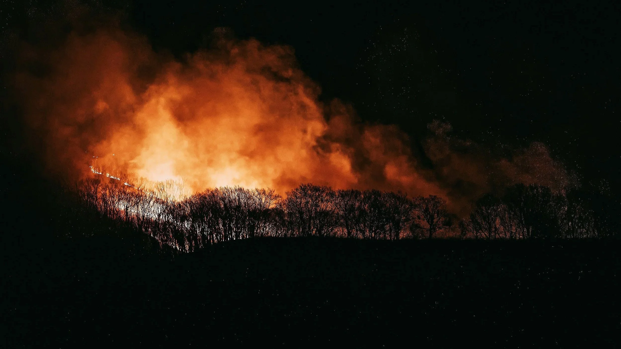 Kate Crowley writes for The Conversation about Margi Prideaux's Fire