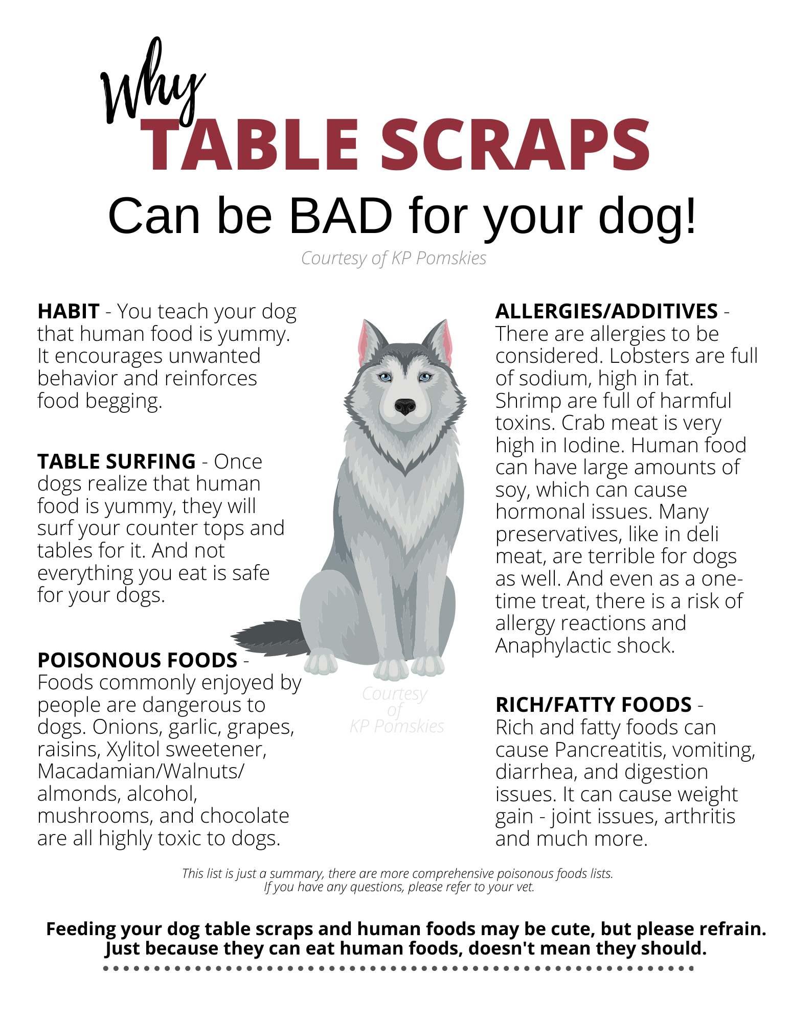 Table Scraps What Table Food Can Puppies Eat Vegetables Can