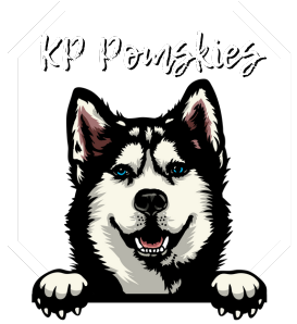 KP Pomskies