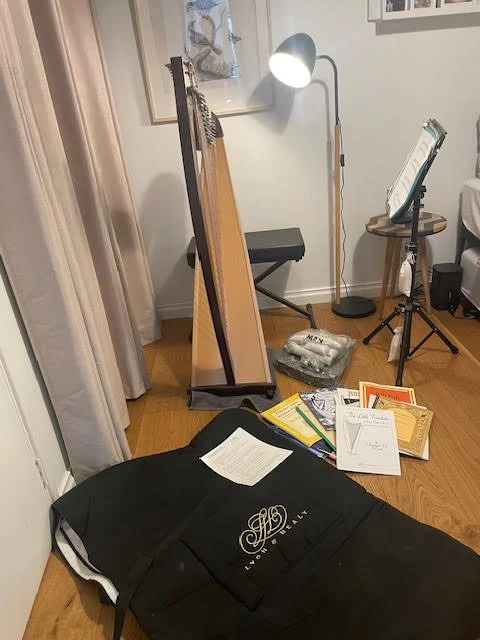 Harp 3.jpg