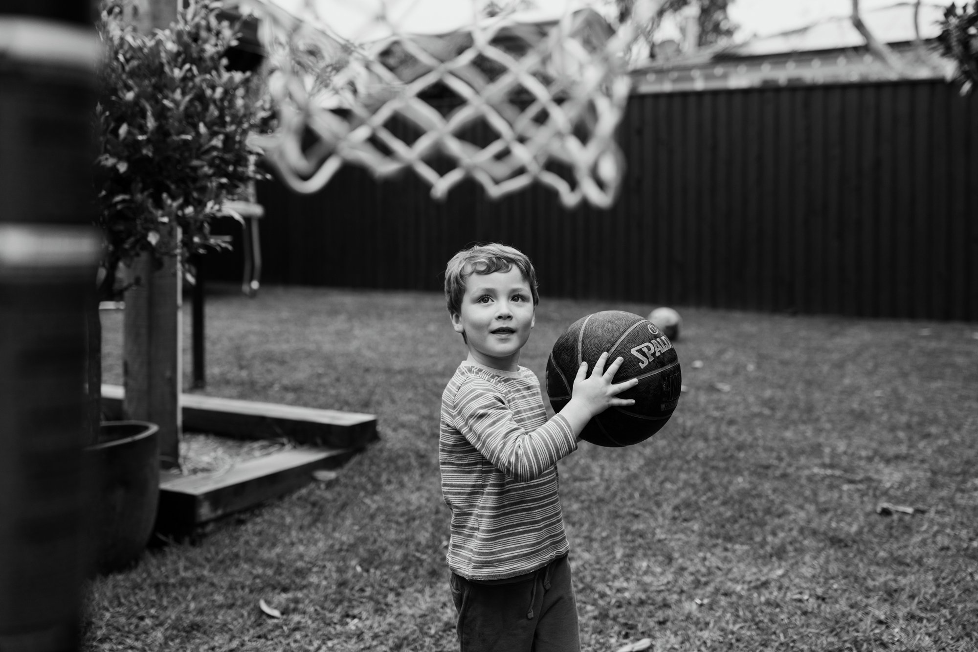 Young boy prepares to throw ball in backyard photo shoot.