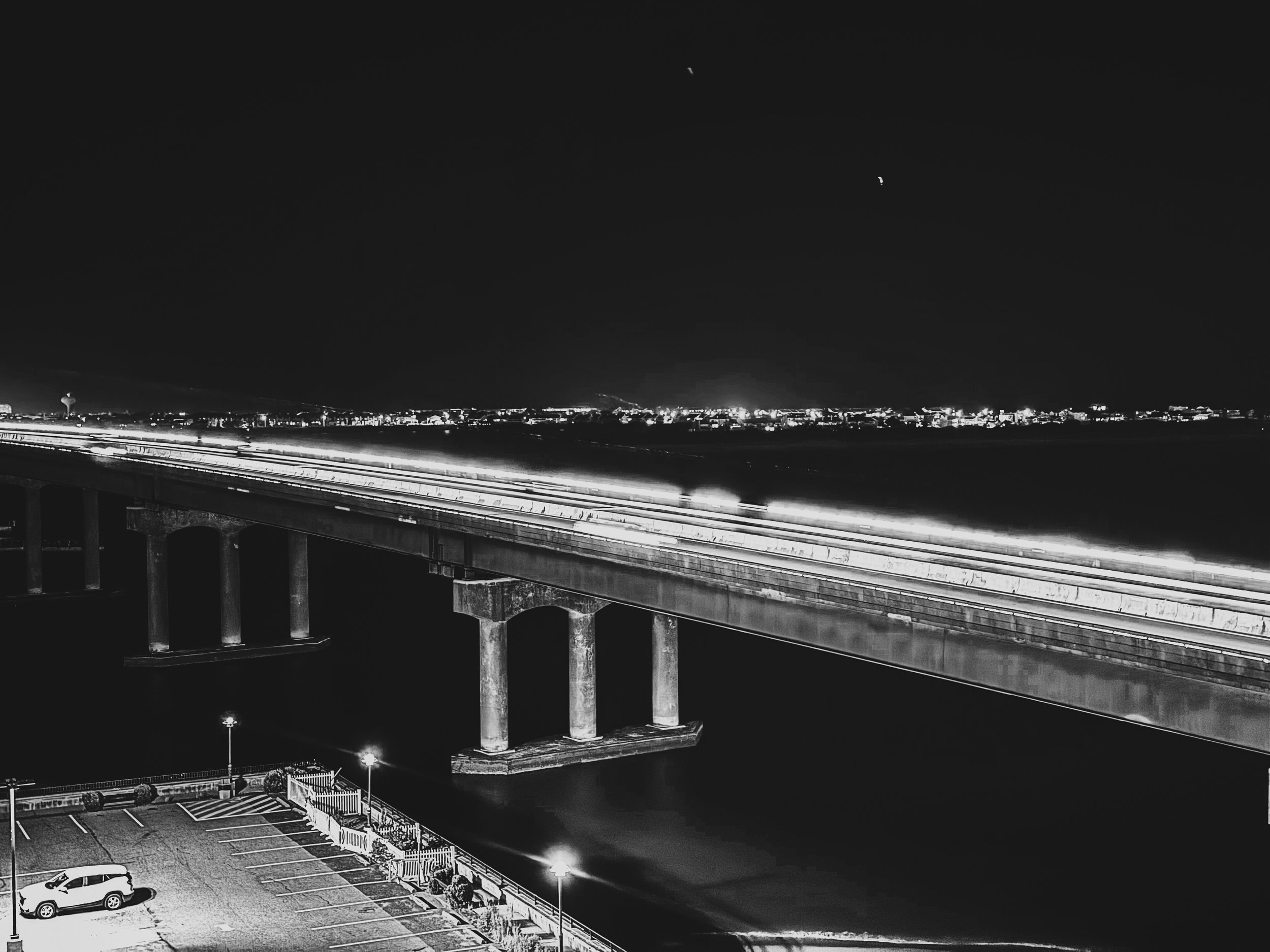 A Bridge Back to Life