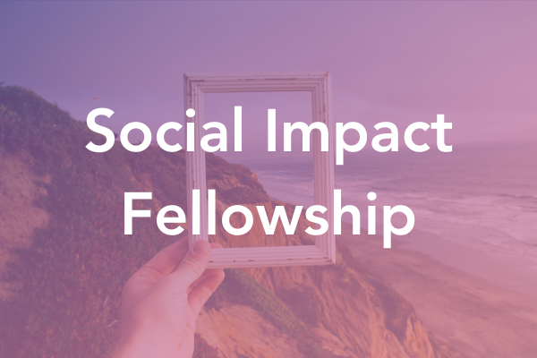 Social Impact Fellowship - Social Impact Hub