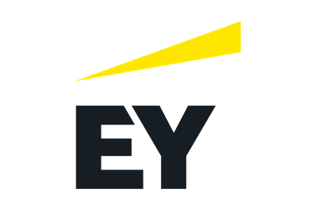 EY sponsored the Scaling Impact Accelerator Program and provided significant pro bono support. 