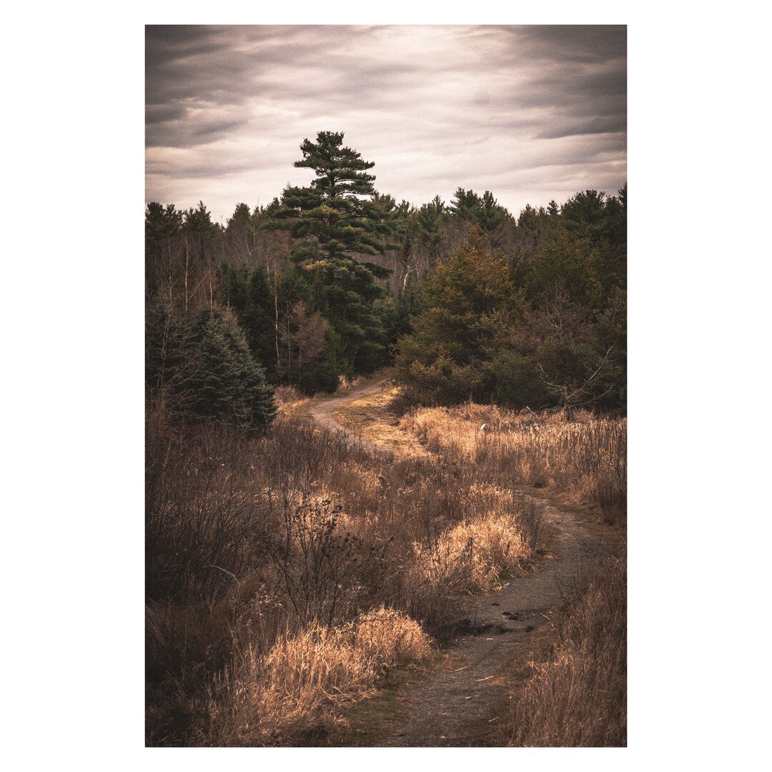 Does anyone actually like the transition between fall and winter?
.
.
#bestofthepinetreestate, #downeastmagazine, #fortheloveofmaine, #igersmaine, #igmaine, #maine, #maine_igers, #mainecoast, #maineigers, #maineisbeautiful, #maineisgorgeous, #maineli