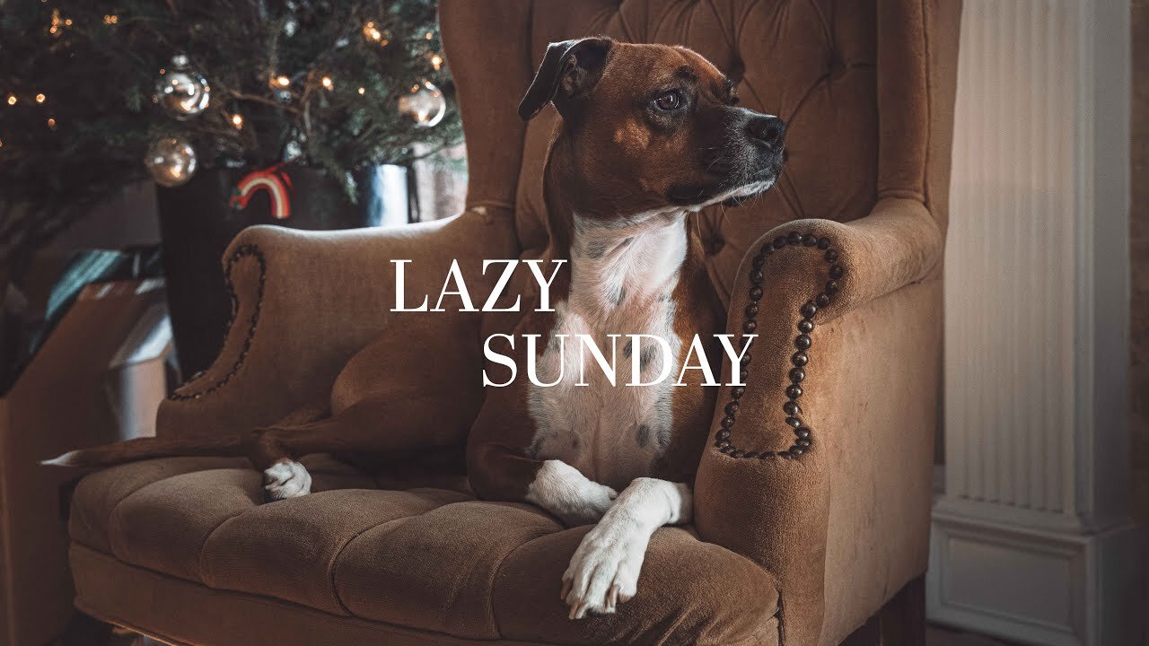 When your Valentine's day weekend plans are ruined by rain. Make a short film. Shot on Sony A7Riii