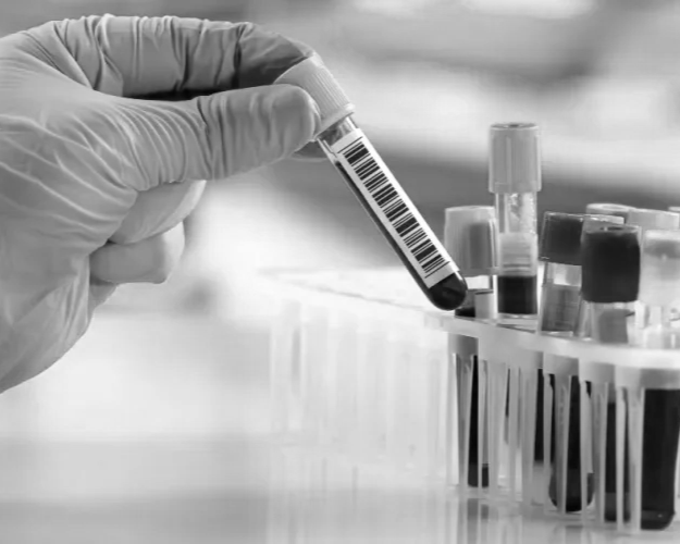 Executive Social Media