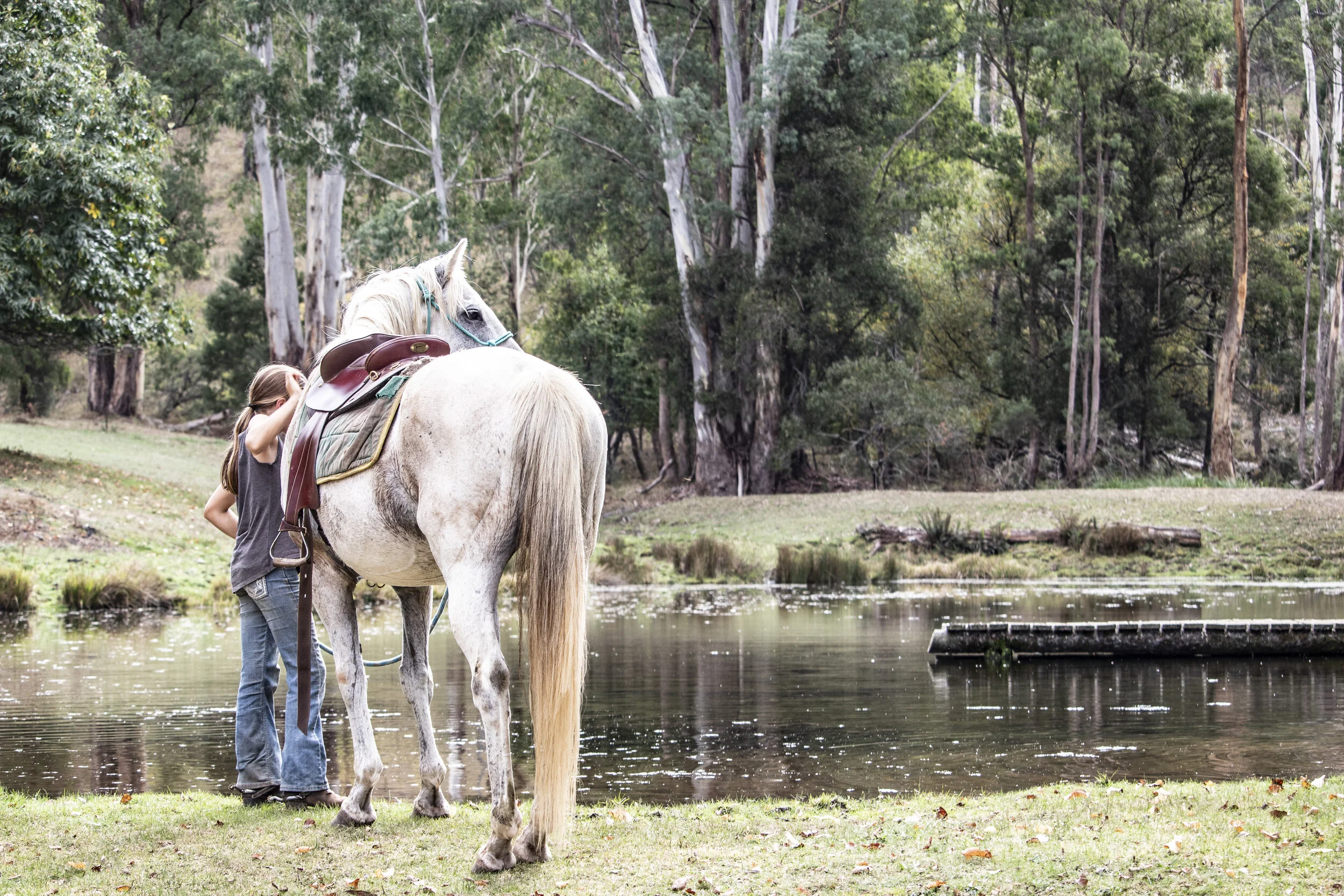 Copy of Bella and Ironbark.JPG