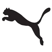 Collaborator 6 (puma).jpg