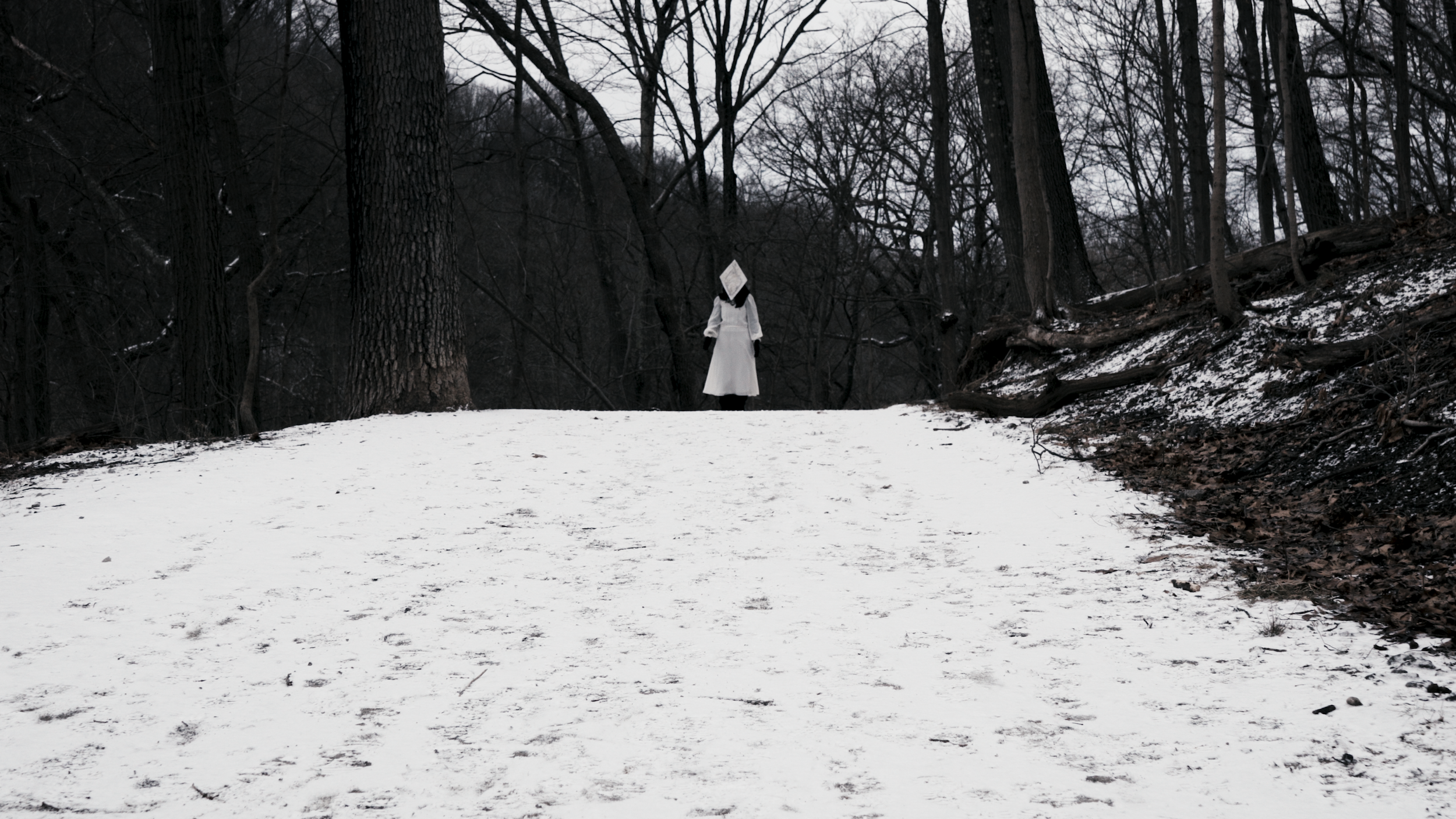 red queen sequence.00_00_11_23.Still002.png