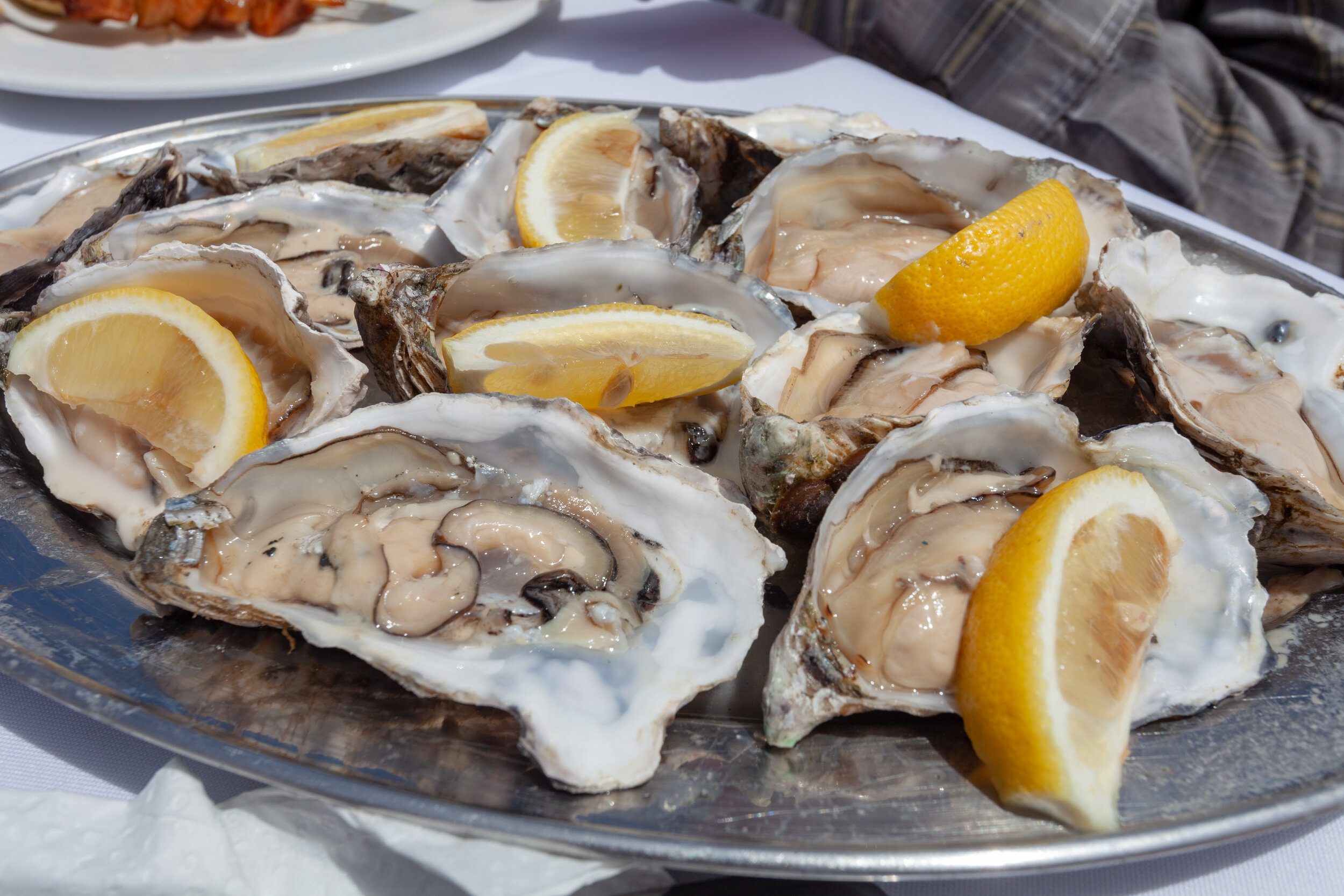 oysters with lemon on a plate