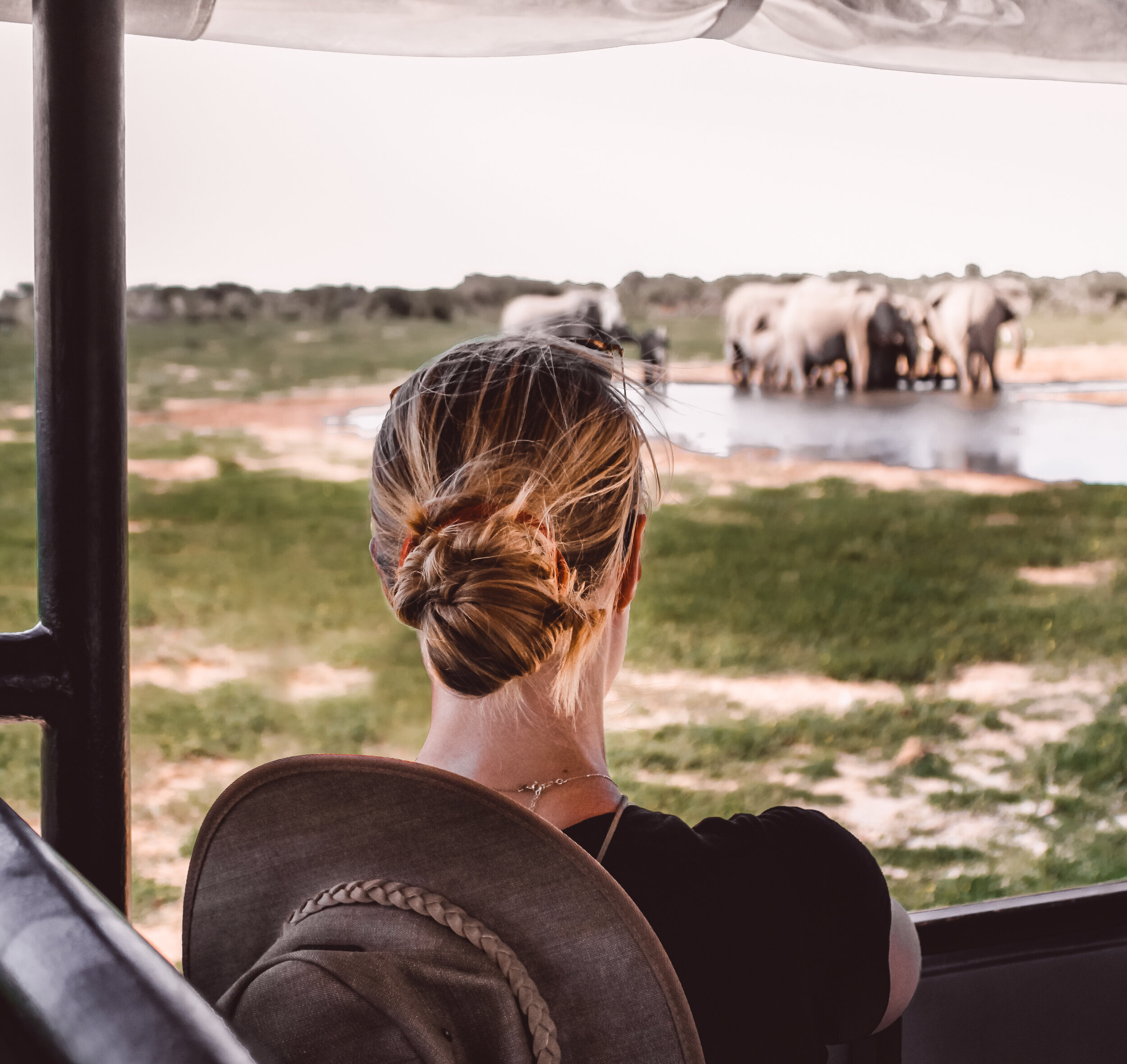 girl on safari drive looking at elephants drinking water from waterhole