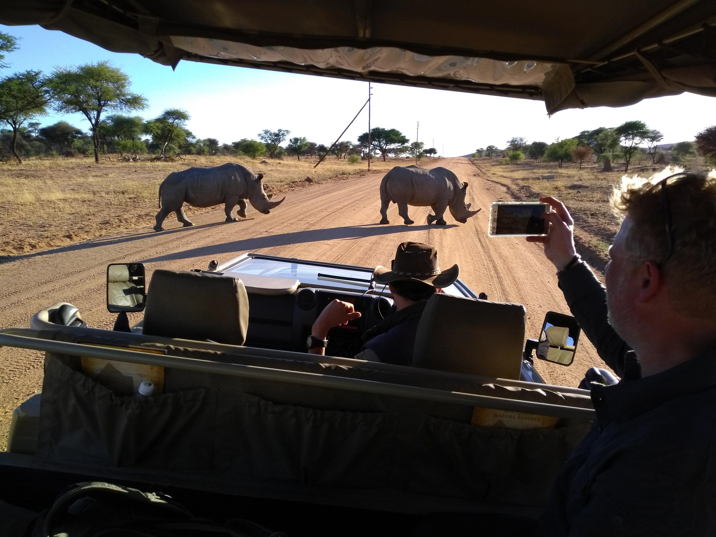 man taking pictures from two rhinos