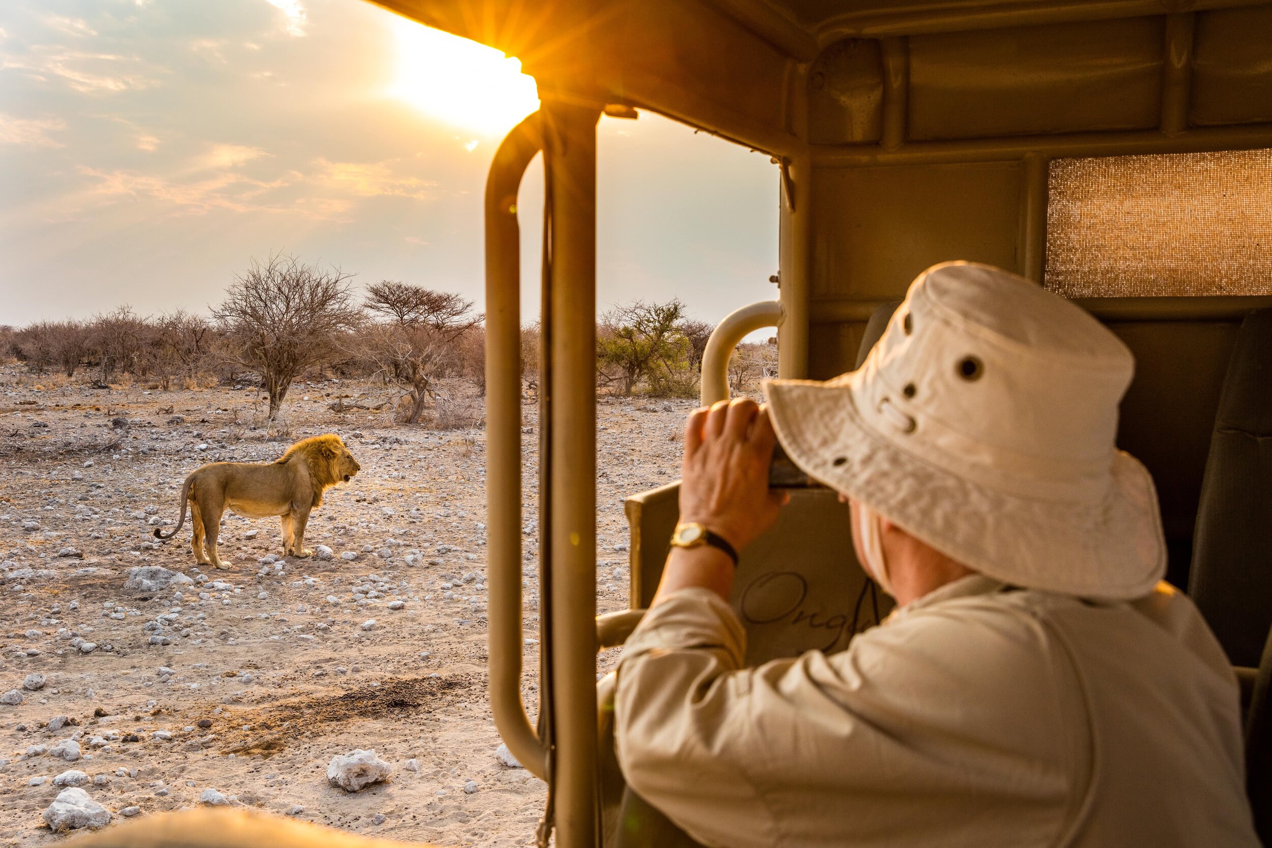 The safari experiences are world-class.