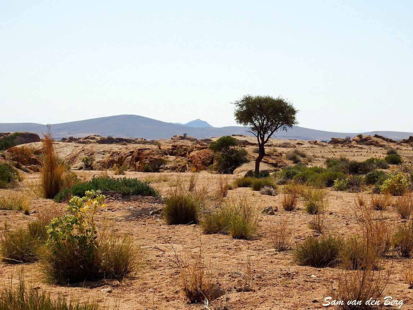 Namib Desert view
