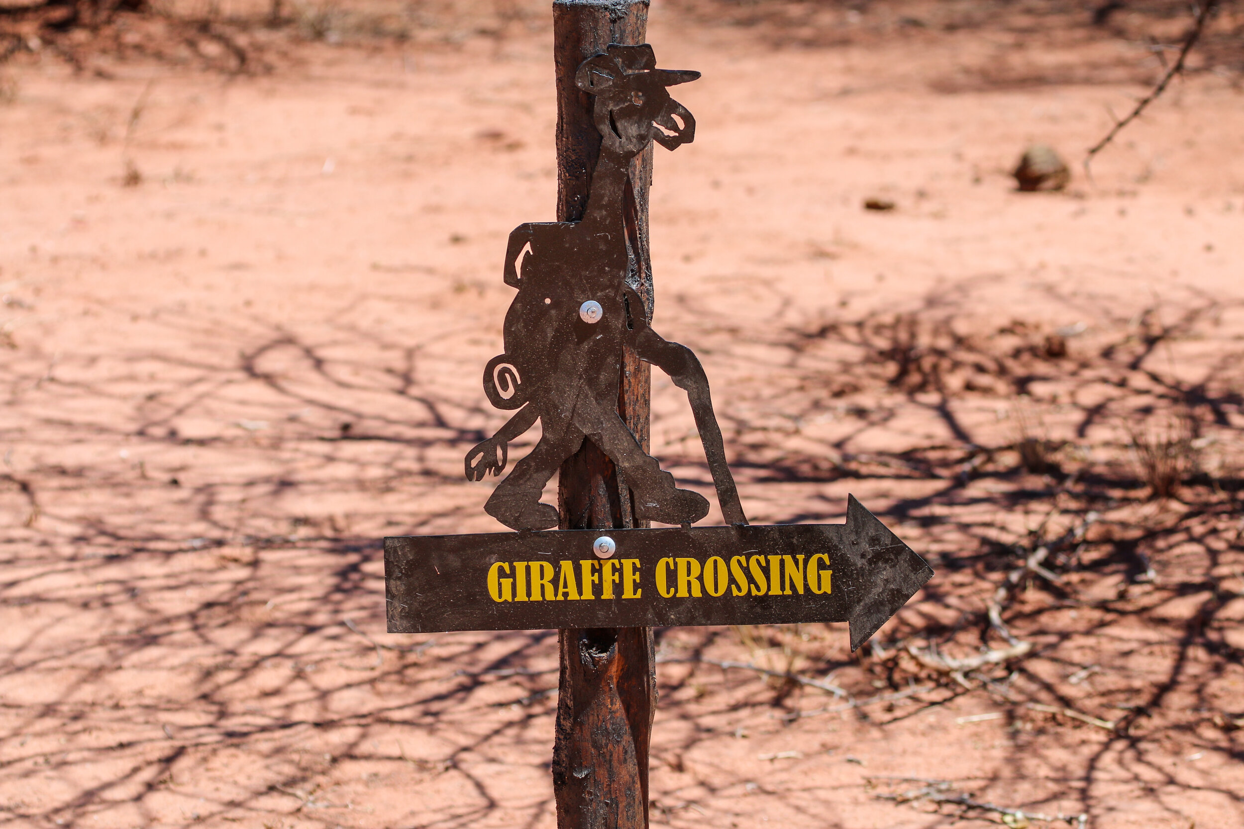 Giraffe crossing sign