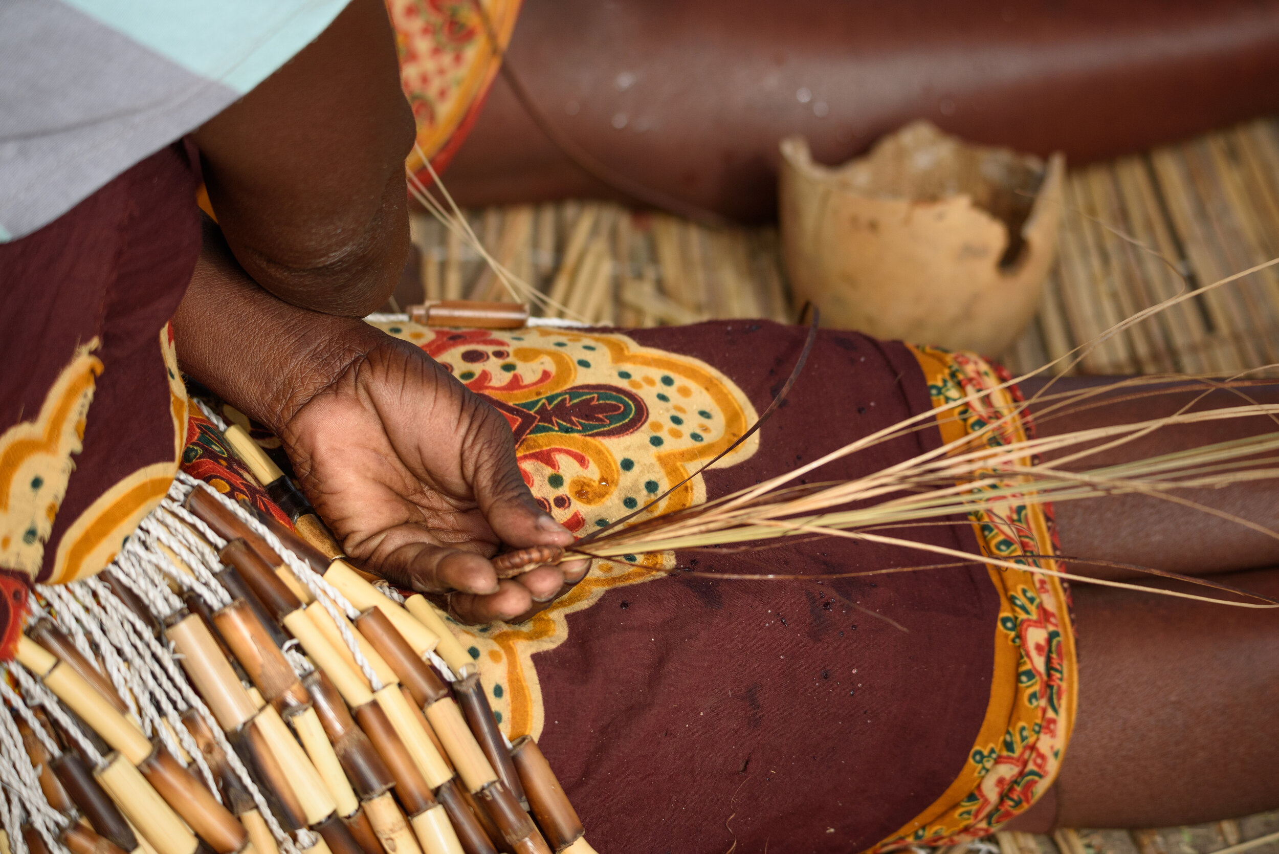 Basket weaver Zambezi
