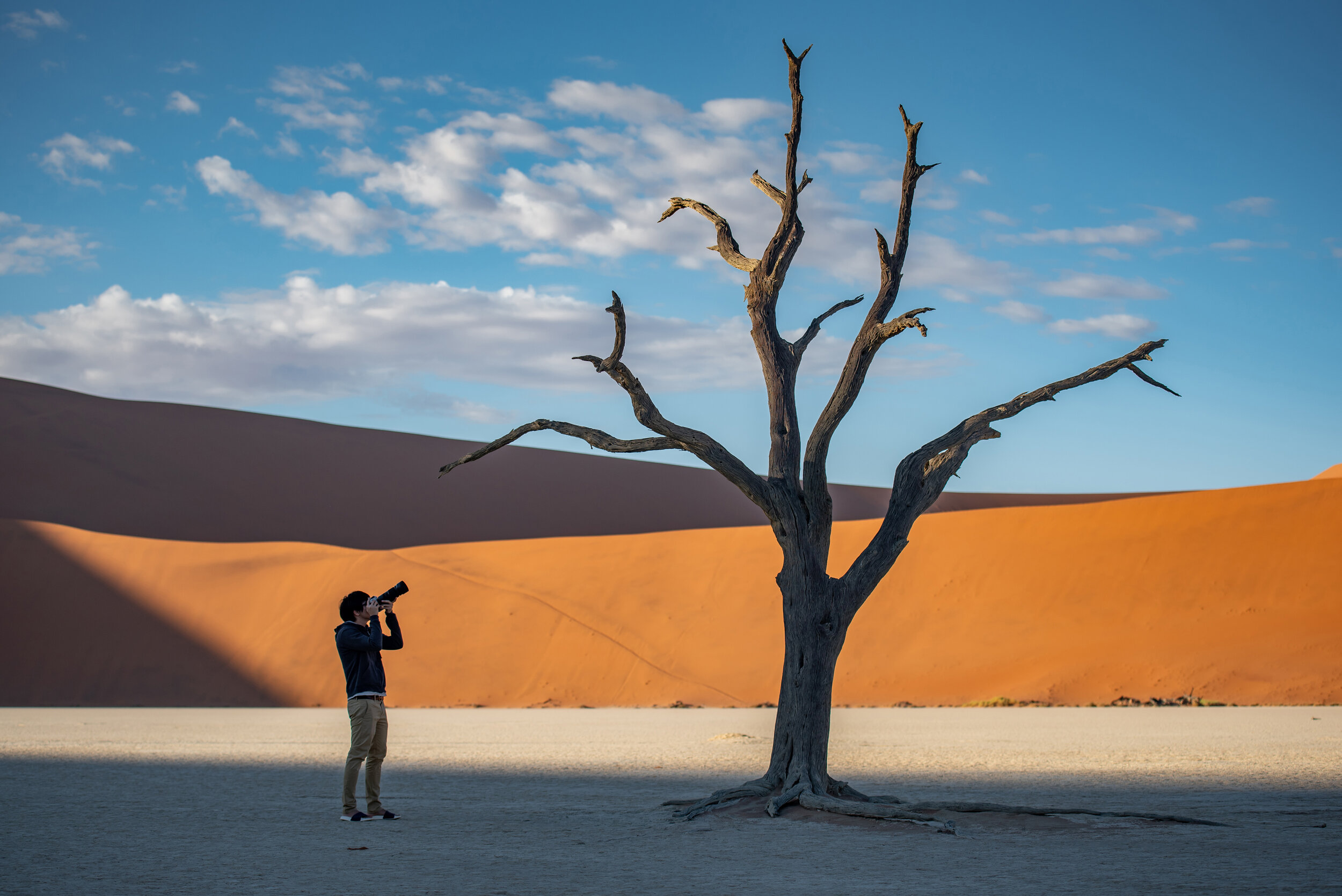 A photographer snaps a picture of a tree in Deadvlei