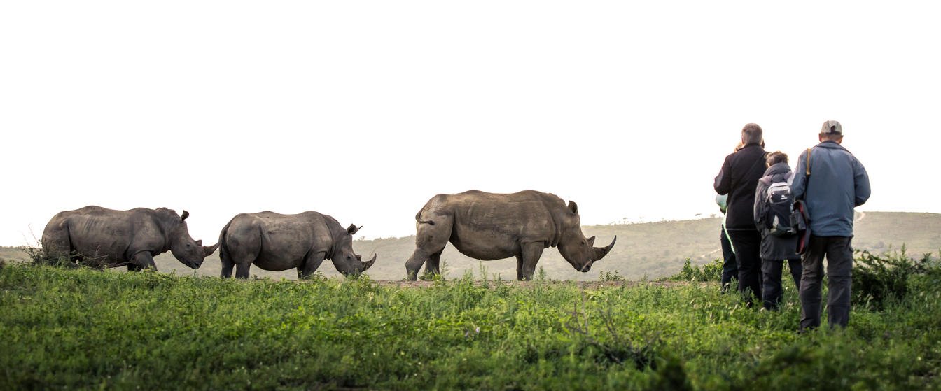 Rhino Ridge Safari Lodge in KwaZulu-Natal walking safari