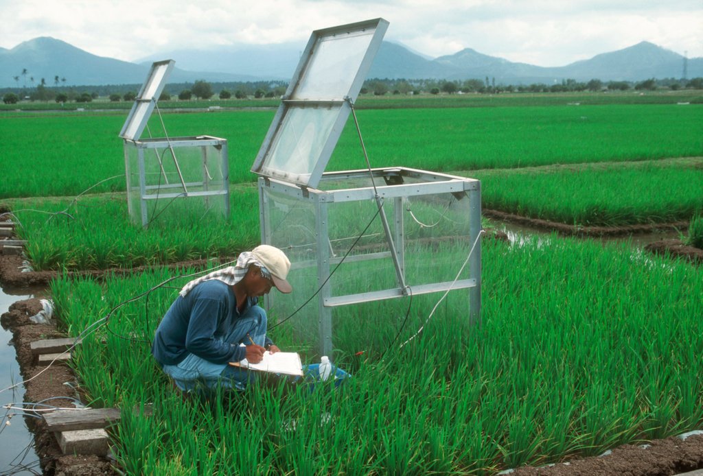 Climate solutions on rice fields in the Phillipines