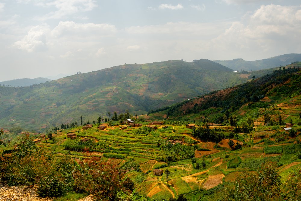 The rolling hills of Rwanda's landscape