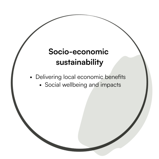 Socio-economic sustainability.png
