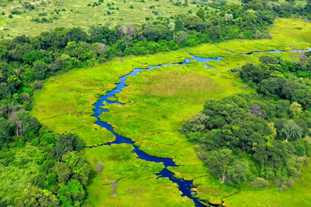 aerial view of the Okavango Delta channel, Botswana