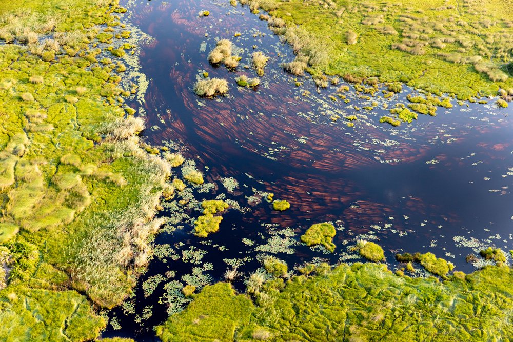 Aerial of the Okavango Delta in Botswana