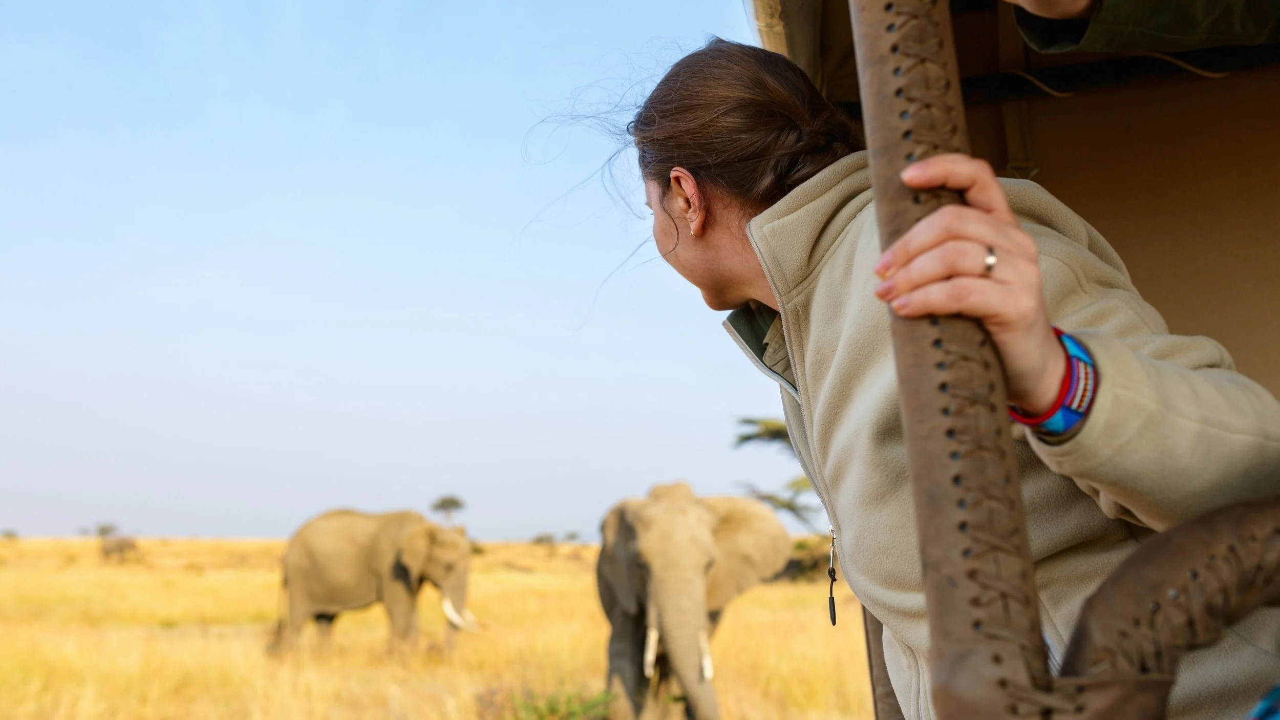A Complete Guide to Tipping on a Southern African Safari — Viatu