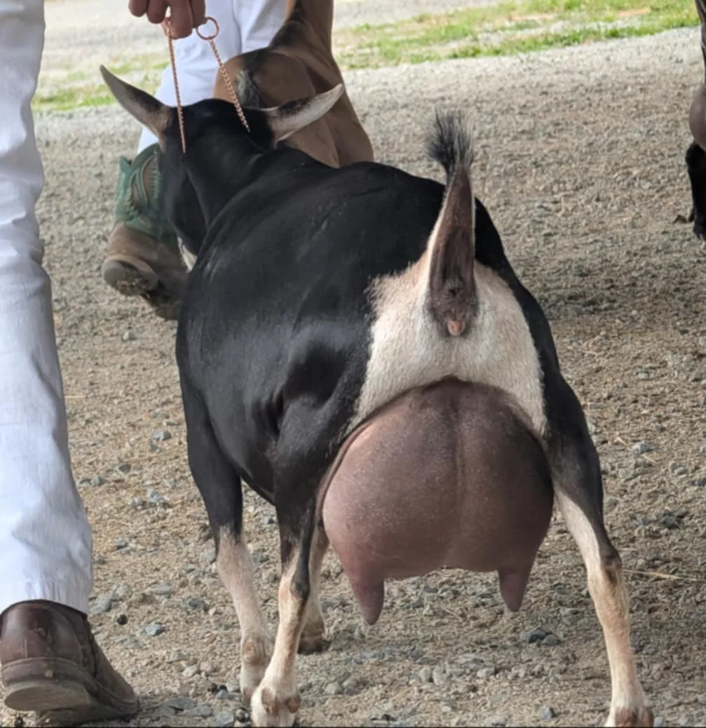 Photo credit: Sarah Adcock