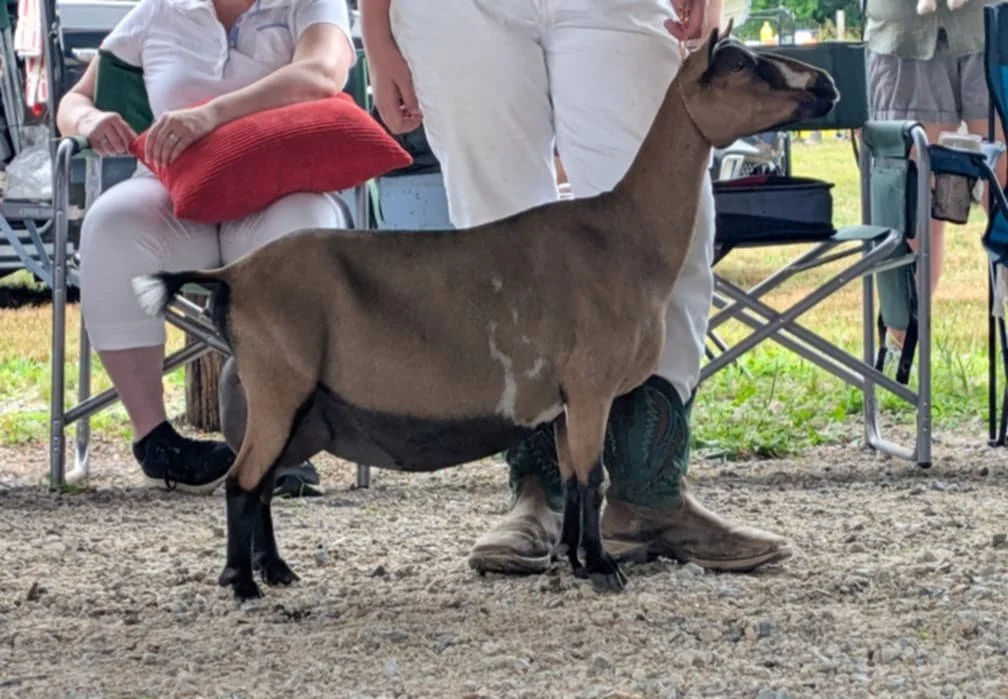 Photo credit: Sarah Adcock