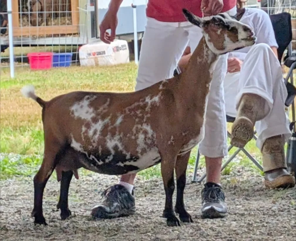 Photo credit: Sarah Adcock