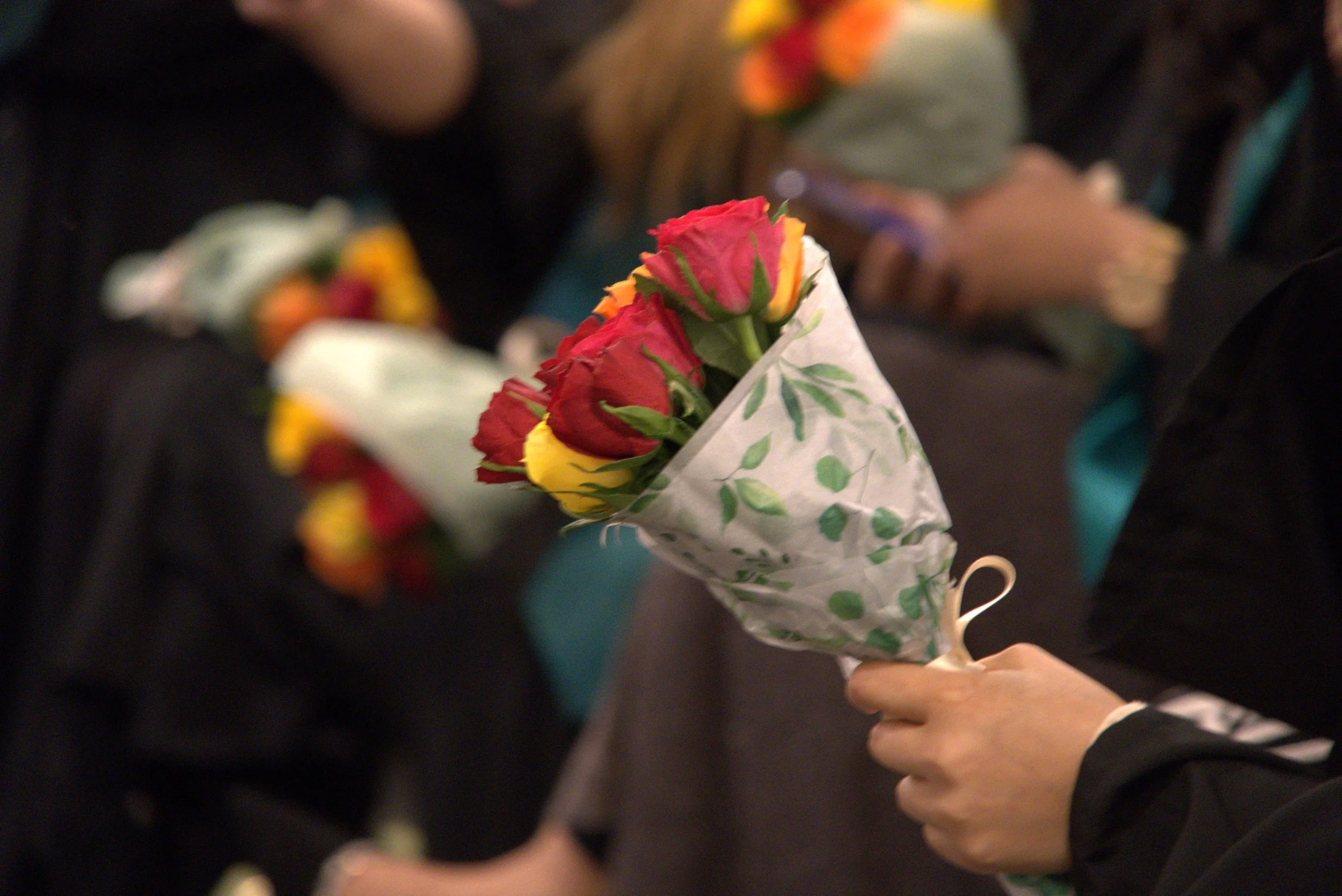 Strength &amp; Stem Spring 2026 Newsletter