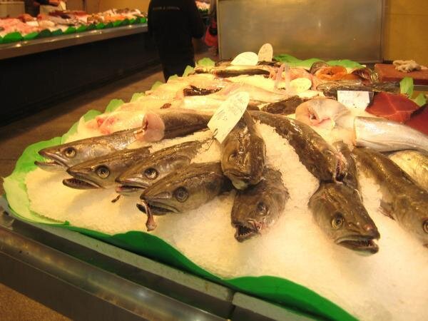 41 fish market.jpg